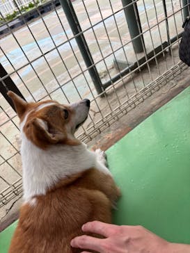 つくばわんわんランドに投稿された画像（2025/10/13）