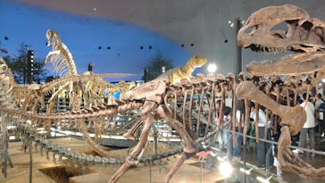 福井県立恐竜博物館に投稿された画像（2025/10/13）