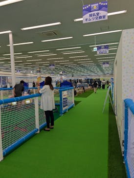 キッズランドUS MAX 山口宇部店に投稿された画像（2025/10/13）