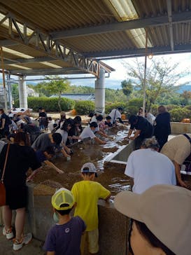 ストーンミュージアム博石館に投稿された画像（2025/10/13）