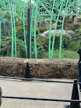 恩賜上野動物園に投稿された画像（2025/10/13）