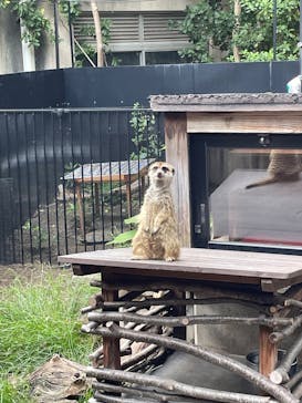 恩賜上野動物園に投稿された画像（2025/10/13）