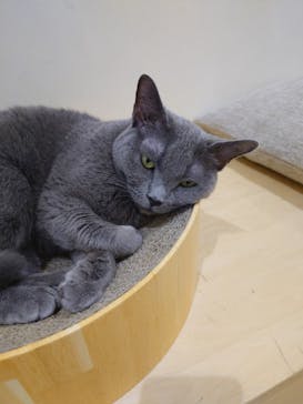 Moff animal cafe イオンモール成田店に投稿された画像（2025/10/13）