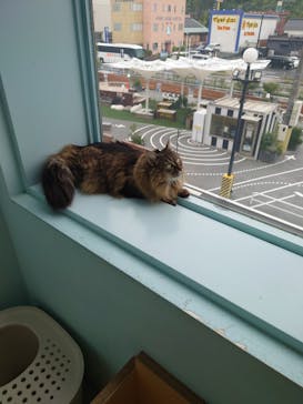 Moff animal cafe イオンモール成田店に投稿された画像（2025/10/13）