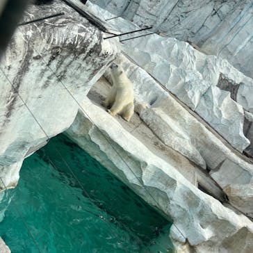 恩賜上野動物園に投稿された画像（2025/10/13）