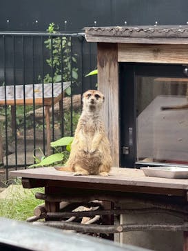 恩賜上野動物園に投稿された画像（2025/10/13）