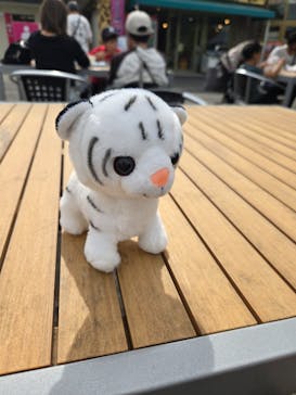 東武動物公園に投稿された画像（2025/10/13）