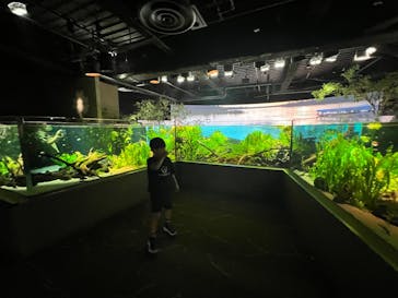 カワスイ 川崎⽔族館に投稿された画像（2025/10/13）