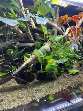 カワスイ 川崎⽔族館に投稿された画像（2025/10/13）