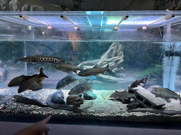 カワスイ 川崎⽔族館に投稿された画像（2025/10/13）