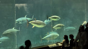 葛西臨海水族園に投稿された画像（2025/10/13）