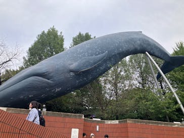 国立科学博物館に投稿された画像（2025/10/13）