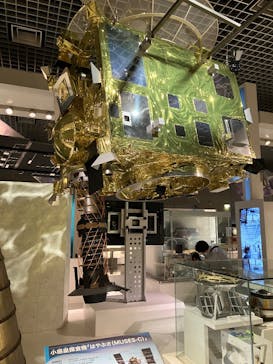 国立科学博物館に投稿された画像（2025/10/13）