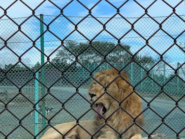 岩手サファリパークに投稿された画像（2025/10/13）