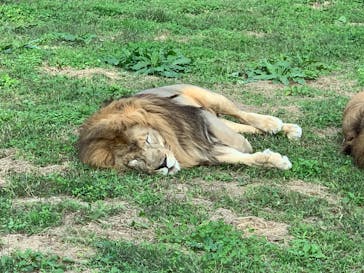 岩手サファリパークに投稿された画像（2025/10/13）