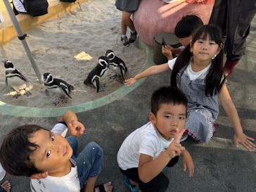 大分マリーンパレス水族館 「うみたまご」に投稿された画像（2025/10/13）