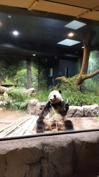 恩賜上野動物園に投稿された画像（2025/10/13）