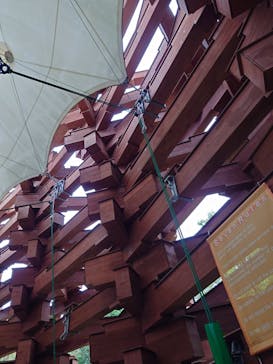 彫刻の森美術館に投稿された画像（2025/10/13）