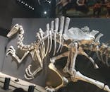 福井県立恐竜博物館に投稿された画像（2025/10/13）