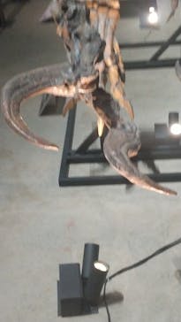 福井県立恐竜博物館に投稿された画像（2025/10/13）