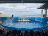 新江ノ島水族館に投稿された画像（2025/10/13）