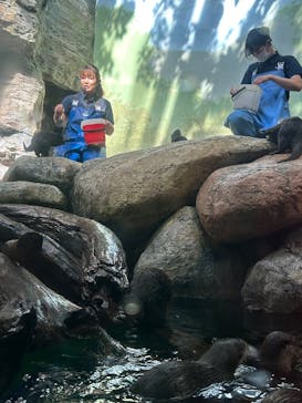 世界淡水魚園水族館　アクア・トトぎふに投稿された画像（2025/10/13）