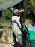 しろとり動物園に投稿された画像（2025/10/13）