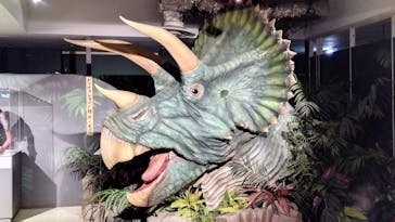 海洋堂ホビーランドに投稿された画像（2025/10/13）