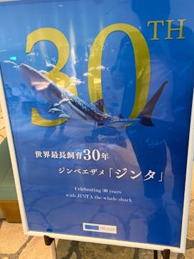 沖縄美ら海水族館に投稿された画像（2025/10/13）