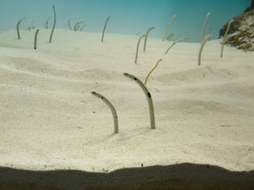 アクアワールド茨城県大洗水族館に投稿された画像（2025/10/13）