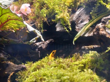 体感型動物園iZooに投稿された画像（2025/10/13）