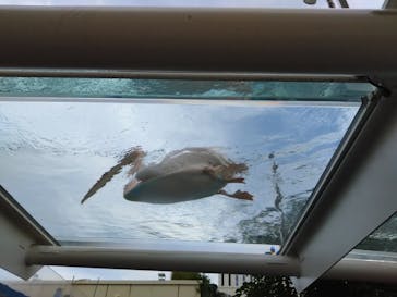 サンシャイン水族館に投稿された画像（2025/10/13）