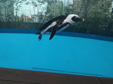 サンシャイン水族館に投稿された画像（2025/10/13）