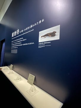 正倉院 THE SHOW ―感じる。いま、ここにある奇跡―　@上野の森美術館に投稿された画像（2025/10/13）