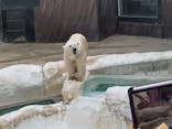 恩賜上野動物園に投稿された画像（2025/10/13）