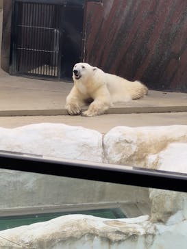 恩賜上野動物園に投稿された画像（2025/10/13）