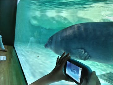 滋賀県立琵琶湖博物館に投稿された画像（2025/10/13）