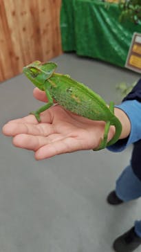 マザー牧場に投稿された画像（2025/10/13）