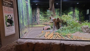 恩賜上野動物園に投稿された画像（2025/10/13）