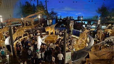 福井県立恐竜博物館に投稿された画像（2025/10/13）