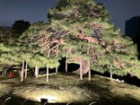 夜間特別開園 秋の夜長の小石川後楽園2025に投稿された画像（2025/10/13）