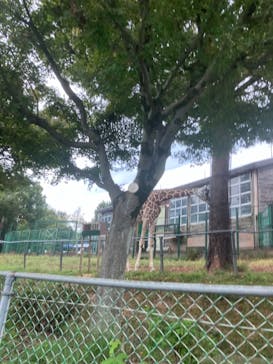こども動物自然公園（埼玉県公園緑地協会）に投稿された画像（2025/10/13）