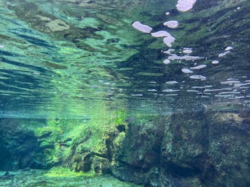 九十九島水族館海きららに投稿された画像（2025/10/13）