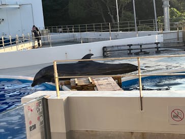 九十九島水族館海きららに投稿された画像（2025/10/13）