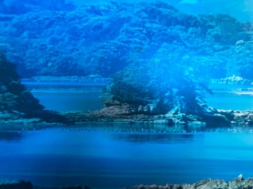 九十九島水族館海きららに投稿された画像（2025/10/13）