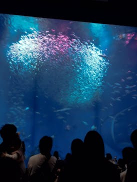 アクアワールド茨城県大洗水族館に投稿された画像（2025/10/13）