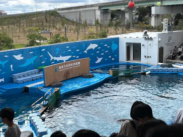 仙台うみの杜水族館に投稿された画像（2025/10/13）