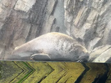 仙台うみの杜水族館に投稿された画像（2025/10/13）