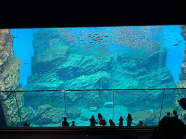 仙台うみの杜水族館に投稿された画像（2025/10/13）