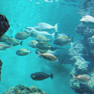 葛西臨海水族園に投稿された画像（2025/10/13）